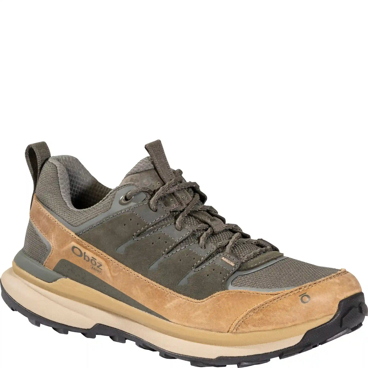 Men's Hyalite Low Waterproof