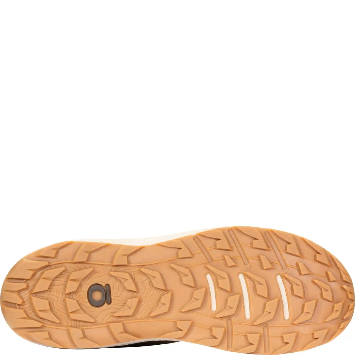 Men's Hyalite Low Waterproof